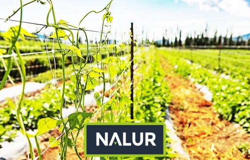   Nalur - Solidne zabezpieczenie roślin - sznurkowa siatka ogrodnicza 