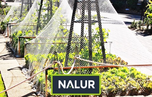   Nalur - Siatka sznurkowa dla ochrony roślin 