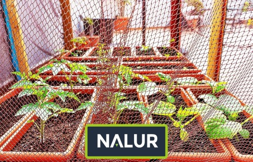   Nalur - Sznurkowa siatka na wymiar — doskonały wybór dla miłośników wysokich grządek 