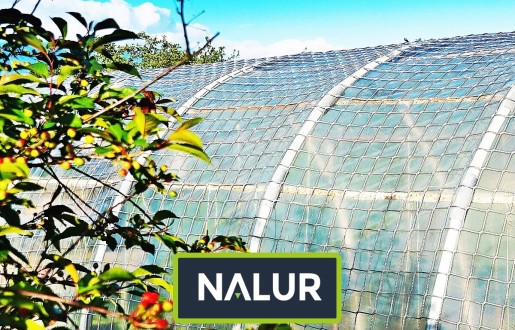 Podwyższone grządki warzywne zabezpieczone mocną siatką Nalur - Podwyższone grządki warzywne zabezpieczone mocną siatką
