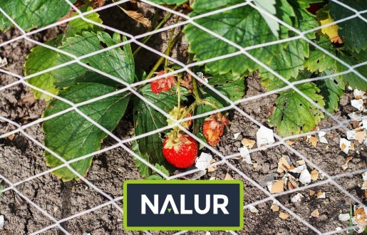   Nalur - Grządki warzywne podwyższone zabezpieczone wytrzymałą siatką 