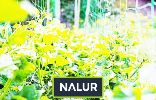   Nalur - Grządki warzywne podwyższone zabezpieczone wytrzymałą siatką 