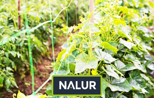   Nalur - Podpora ze siatki dla roślin pnących 