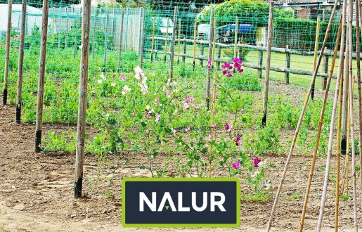  Nalur - Siatki na porost ścian roślinami pnącymi   Podpora z siatki do porośnięcia ściany budynku 