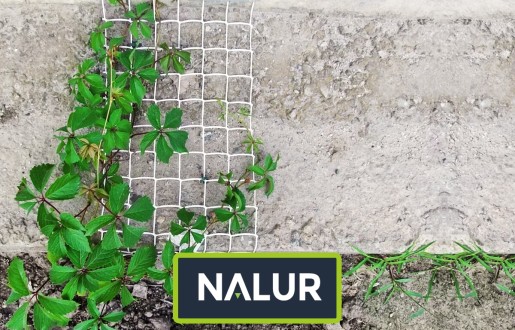   Nalur - Efektywna ochrona roślin — Siatki i sznurki do zabezpieczenia Twojej uprawy 