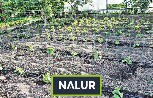   Nalur - Ogrodzenie do ogródka uprawnego   Zabezpieczenie uprawy w ogródku 