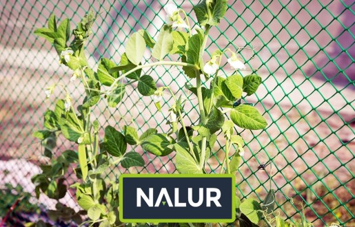   Nalur - Ochronna siatka do zabezpieczenia upraw 