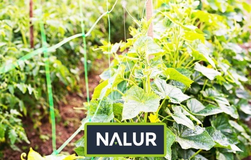  Nalur - Niezawodna ochrona upraw przed szkodnikami dzięki mocnej siatce sznurkowej 