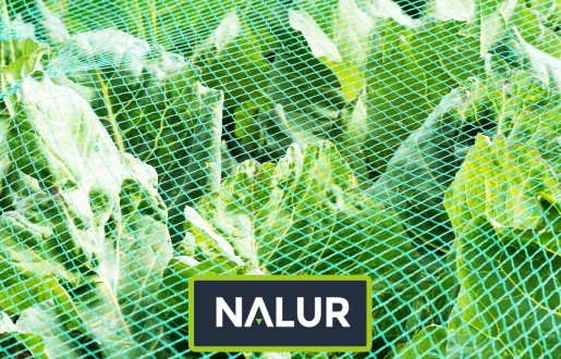   Nalur - Ogrodzenie do ogródka uprawnego   Zabezpieczenie uprawy w ogródku 