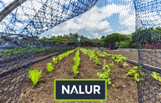   Nalur - Sznurkowa siatka ochronna dla roślin na działce 