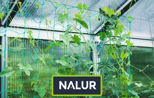   Nalur - Siatki i sznurki do ochrony roślin w uprawach ogrodowych 