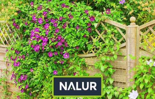   Nalur - Ogrodzenie do ogródka uprawnego   Zabezpieczenie uprawy w ogródku 