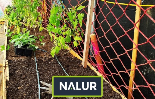   Nalur - Siatka sznurkowa zabezpieczająca uprawy 