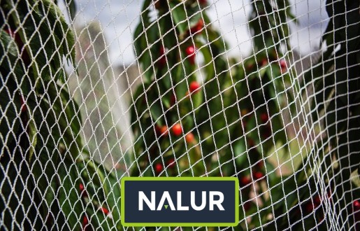   Nalur - Solidne ogrodzenie zapewniające ochronę upraw przed szkodnikami 