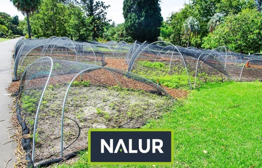 Siatka sznurkowa do ochrony upraw Nalur - Siatka sznurkowa do ochrony upraw