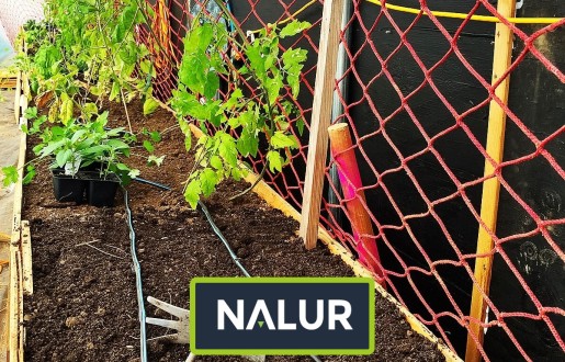   Nalur - Siatka sznurkowa do ochrony roślin w ogrodzie 