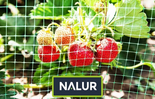   Nalur - Siatki i sznurki do ochrony Twoich roślin w ogrodzie 