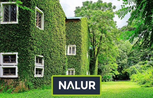   Nalur - Twórcze wykorzystanie siatki sznurkowej: kreacja cienia i estetyki za pomocą roślin 