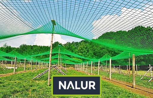 Zabezpiecz swój dom przed niewelkowanymi gośćmi dzięki naszej wytrzymałej siatce ochronnej Nalur - Zabezpiecz swój dom przed niewelkowanymi gośćmi dzięki naszej wytrzymałej siatce ochronnej