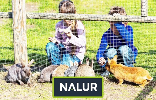 Siatka do wybiegu dla królików hodowlanych Nalur - Siatka do wybiegu dla królików hodowlanych