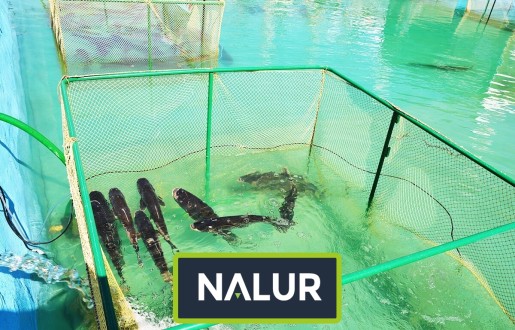   Nalur - Siatka o wymiarach 4,5x4,5 wykonana z 3mm polipropylenu 