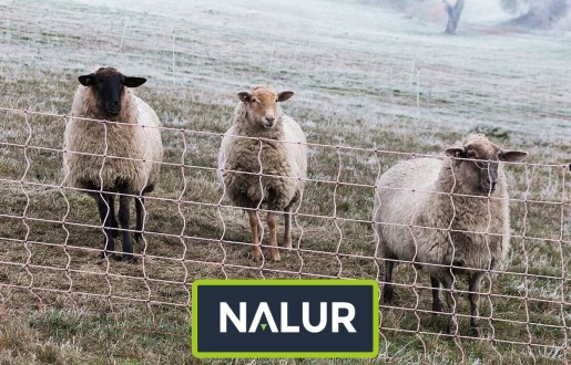   Nalur - Chroń swoje hodowle dzięki naszej wytrzymałej siatce dla ptaków i innych zwierząt 