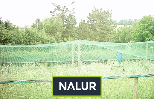   Nalur - Siatka ochronna przeciwko ptakom dla hodowlanych zwierząt 