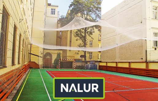 Nalur -