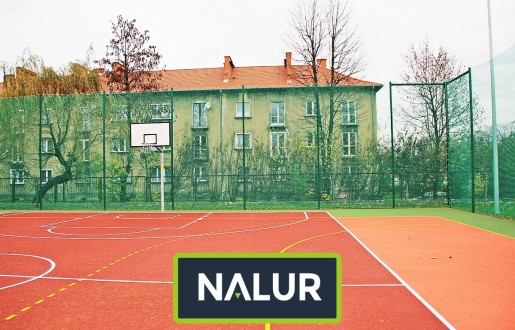 Nalur -