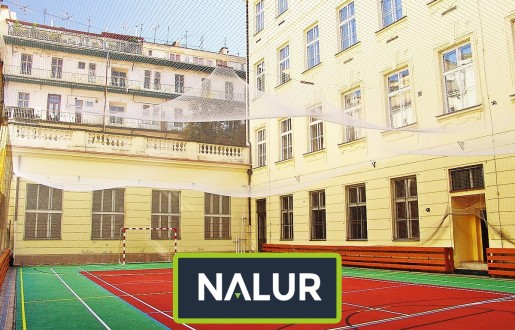 Piłkochwt na szkolne boisko Piłkochwyty na boiska w szkołach Nalur - Piłkochwt na szkolne boisko Piłkochwyty na boiska w szkołach