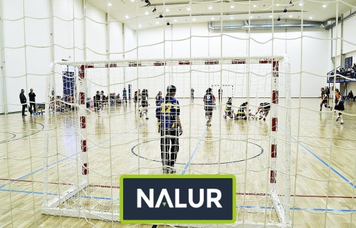Siatka na hale sportową Zabezpieczenie siatką hali sportowej Nalur - Siatka na hale sportową Zabezpieczenie siatką hali sportowej