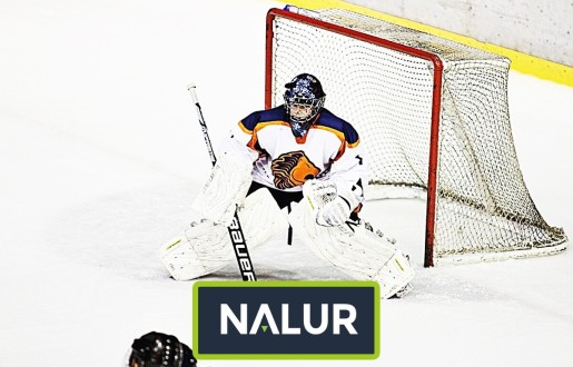   Nalur - Siatka sportowa   Zabezpieczająca siatka sportowa 